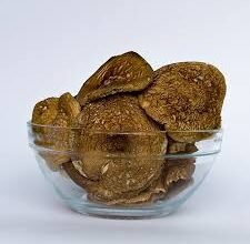 Що лікує пантерний мухомор: ефективність та застосування в медицині