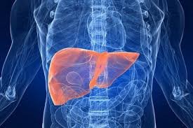 Лікар що лікує печінку: оберіть найкращого фахівця для вашого здоров’я