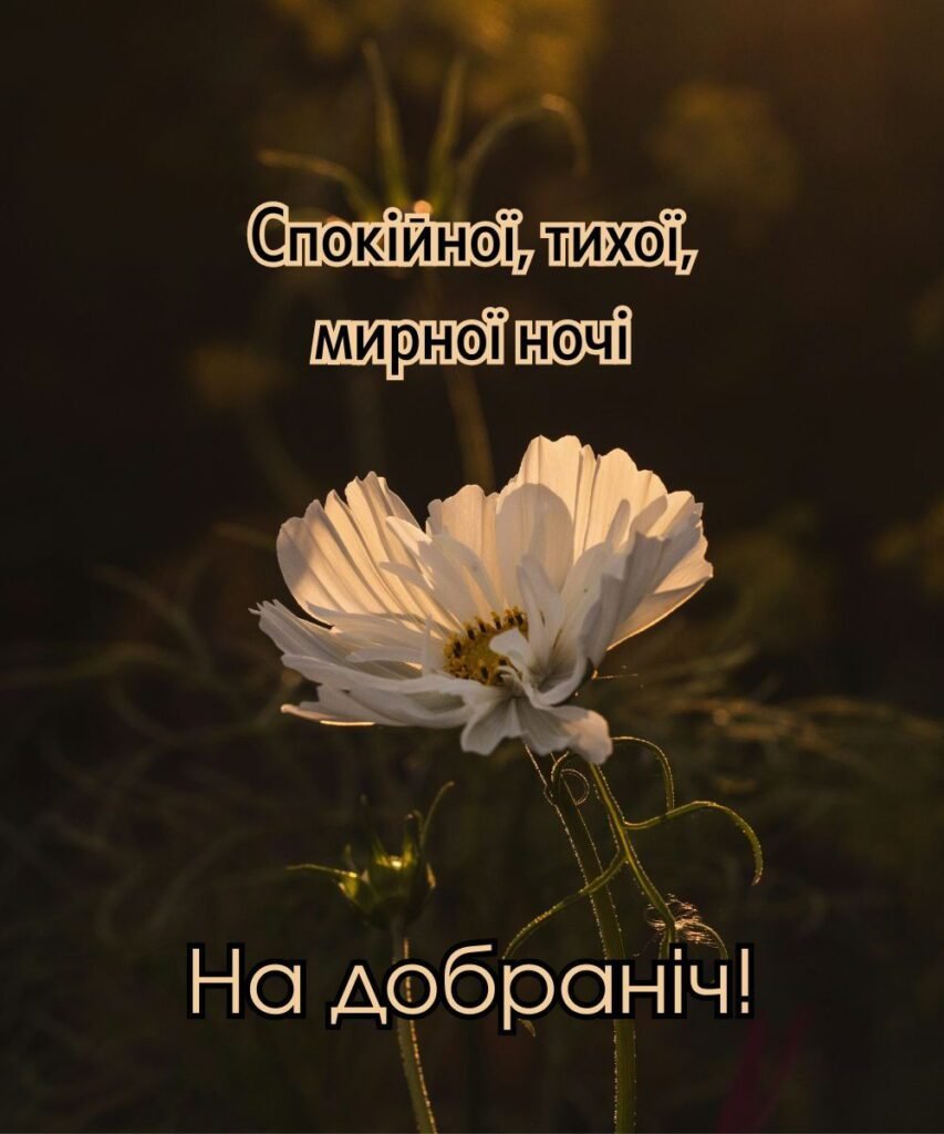 Нічна магія