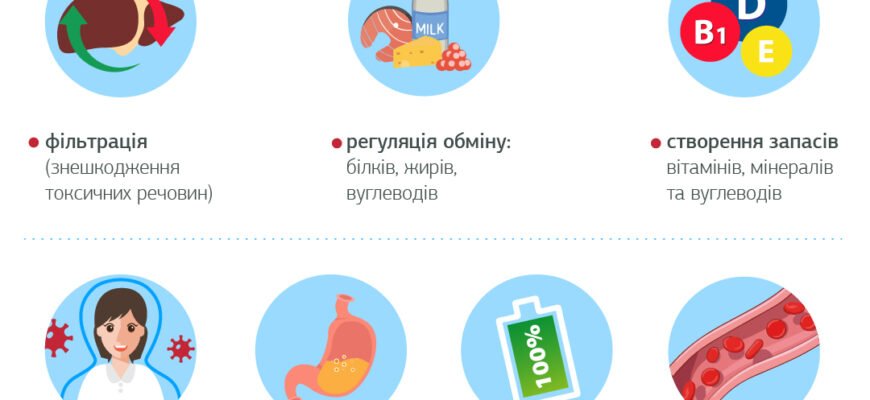 Алкогольна хвороба печінки: симптоми, які не можна ігнорувати