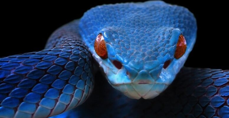 Здоровий Спосіб Життя: Як ЗСЖ Кардинально Змінює Ваше Життя