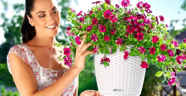 Як стильно носити жіночі джинси баггі: поради та образи на кожен день Як стильно носити жіночі джинси баггі: поради та образи на кожен день