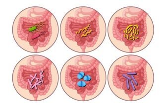 Аналіз на кишкові інфекції: як підготуватись та що слід знати