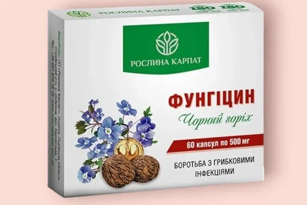 Чорний горіх: що він лікує та як його використовувати для здоров’я