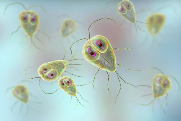 Лямблії у дитини: симптоми, діагностика та ефективне лікування