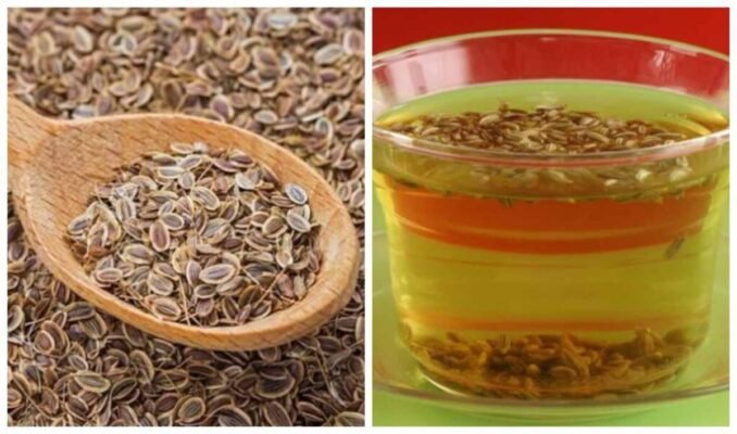 Лікувальні властивості насіння кропу: що вам потрібно знати