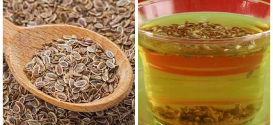 Лікувальні властивості насіння кропу: що вам потрібно знати