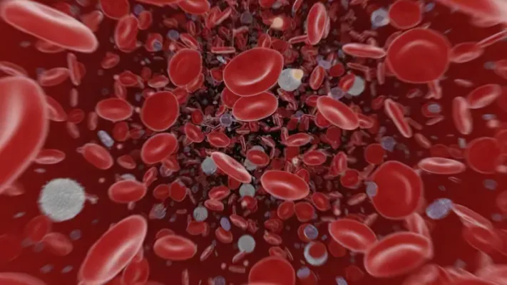 Загальні нейтрофіли знижені у дитини: причини та лікування