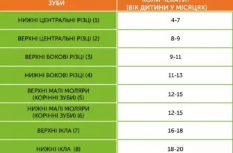 Кількість молочних зубів у дитини: що потрібно знати батькам