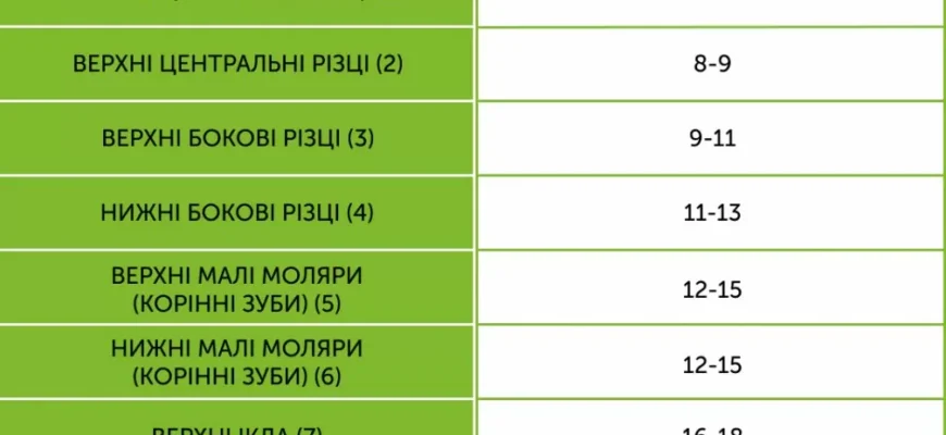 Кількість молочних зубів у дитини: що потрібно знати батькам