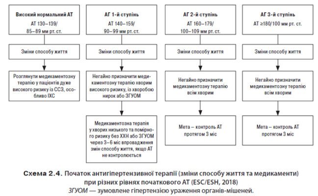 Гіпертонічна хвороба 2 стадії: симптоми, діагностика, лікування Гіпертонічна хвороба 2 стадії: симптоми, діагностика, лікування