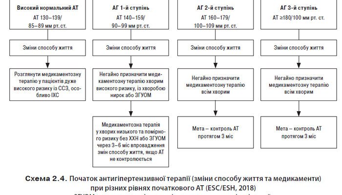Гіпертонічна хвороба 2 стадії: симптоми, діагностика, лікування