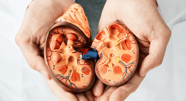 Лікар андролог що лікує: захворювання та методи лікування