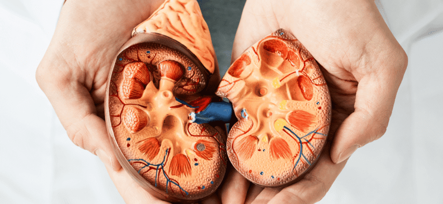 Лікар андролог що лікує: захворювання та методи лікування