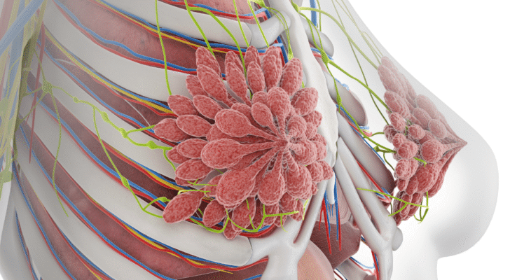 Фіброзно кістозні зміни молочних залоз: причини та лікування