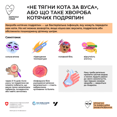 Хвороба котячих подряпин: симптоми, лікування та профілактика