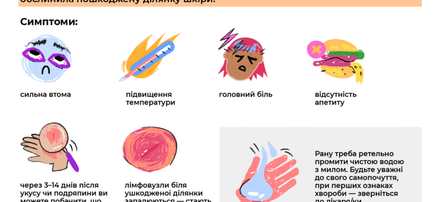 Хвороба котячих подряпин: симптоми, лікування та профілактика Хвороба котячих подряпин: симптоми, лікування та профілактика