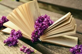 Кальвадос з Нормандії: Історія, Виробництво та Секрети Напою