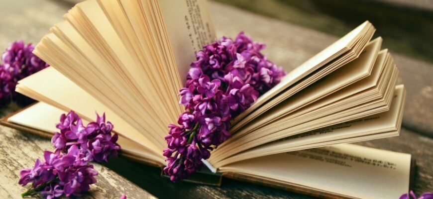 Кальвадос з Нормандії: Історія, Виробництво та Секрети Напою