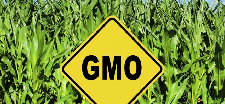 Сон про летючу мишу: розкриття таємниць вашої підсвідомості Сон про летючу мишу: розкриття таємниць вашої підсвідомості