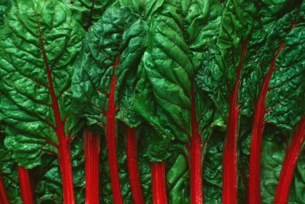 Кальвадос: Історія, виробництво та найкращі сорти сидрового бренді