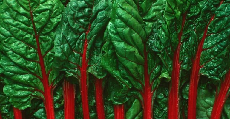 Кальвадос: Історія, виробництво та найкращі сорти сидрового бренді