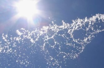 Сигна в цифровому світі: як заробити та просунути свій бренд