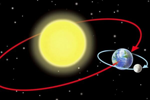 Енергетичний обмін в організмі: ключові процеси та їх значення