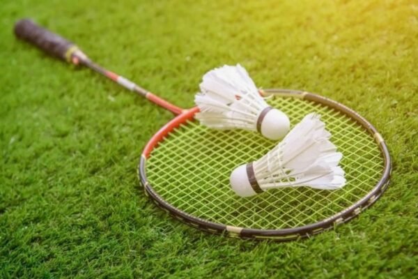 Що таке спіраль: види, властивості та застосування у природі