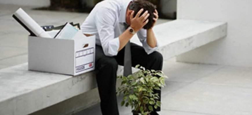 Що таке топінамбур: властивості, користь та застосування рослини