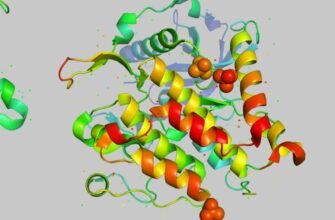 Лихварство: Хто такі лихварі та яку роль вони відіграють сьогодні?