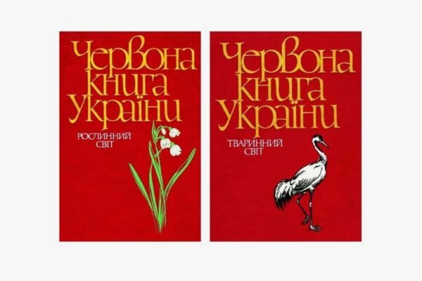 Портрети в літературі: їхнє значення та вплив на сприйняття творів Портрети в літературі: їхнє значення та вплив на сприйняття творів