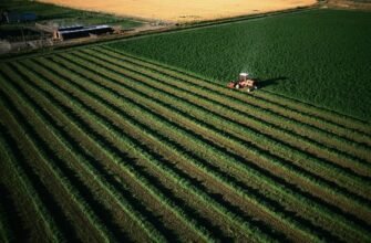 Мантри: що це таке, як вони працюють та впливають на наш розум