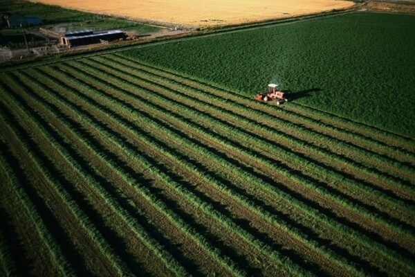 Мантри: що це таке, як вони працюють та впливають на наш розум