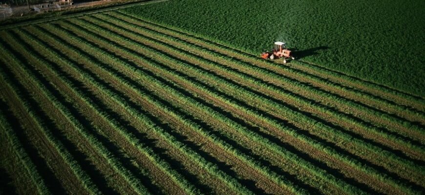 Мантри: що це таке, як вони працюють та впливають на наш розум
