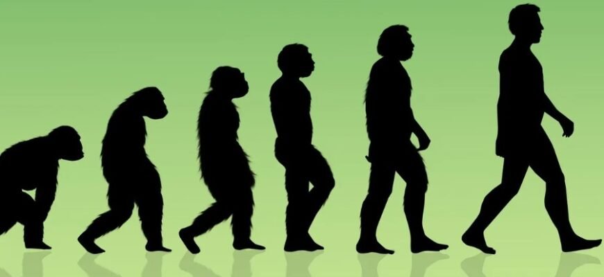 Розкрийте поняття духовності: глибокі аспекти та значення для людини Розкрийте поняття духовності: глибокі аспекти та значення для людини