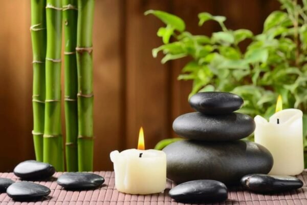 Цикорій: Користь, Застосування та Секрети Вирощування вдома