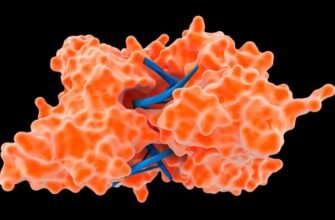 Гель-лак для нігтів: Як вибрати ідеальний та дбати про стійкість покриття