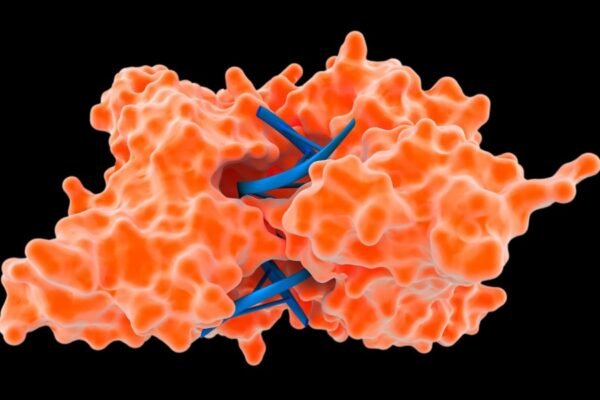 Гель-лак для нігтів: Як вибрати ідеальний та дбати про стійкість покриття