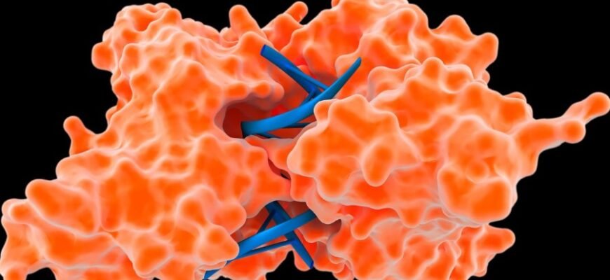 Гель-лак для нігтів: Як вибрати ідеальний та дбати про стійкість покриття Гель-лак для нігтів: Як вибрати ідеальний та дбати про стійкість покриття