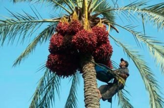 Термальні води України: оздоровлення та релаксація в природі