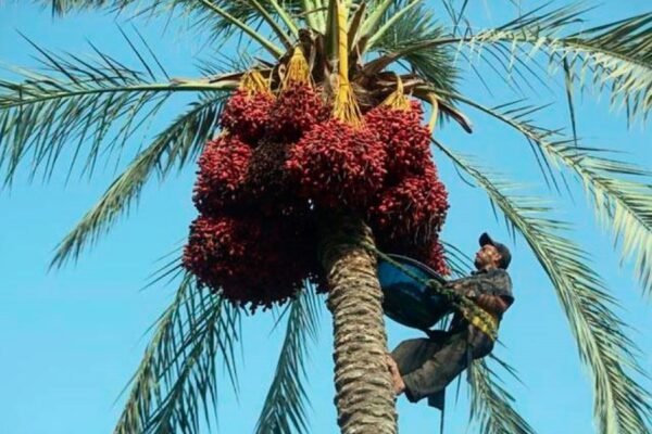 Термальні води України: оздоровлення та релаксація в природі
