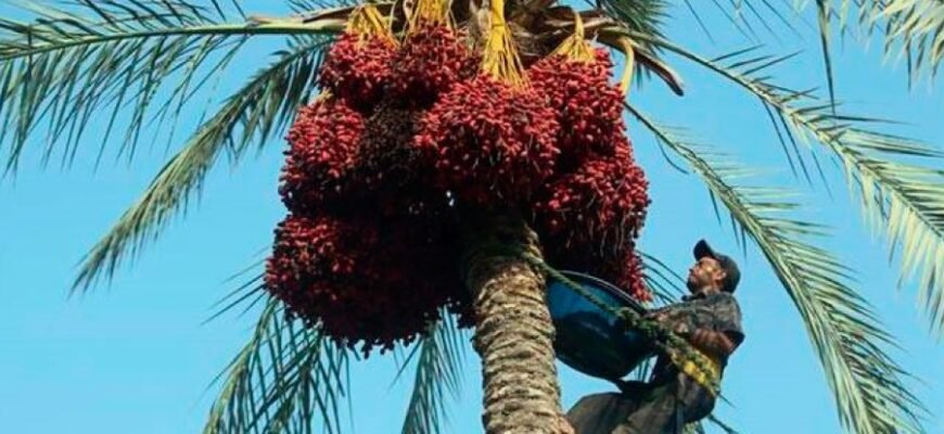 Термальні води України: оздоровлення та релаксація в природі