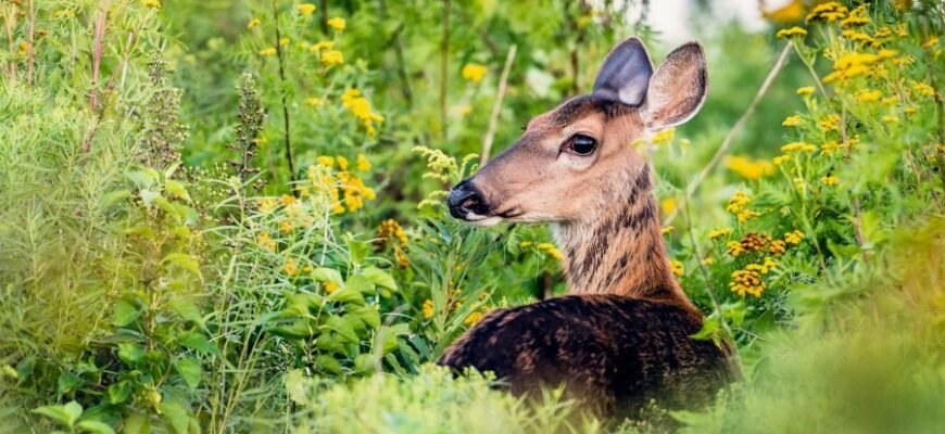 Розширте свідомість: відкрийте нові горизонти мислення та розвитку