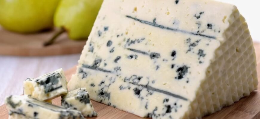 “Як обрати ідеальне кашпо: поради для стильного інтер’єру та саду”