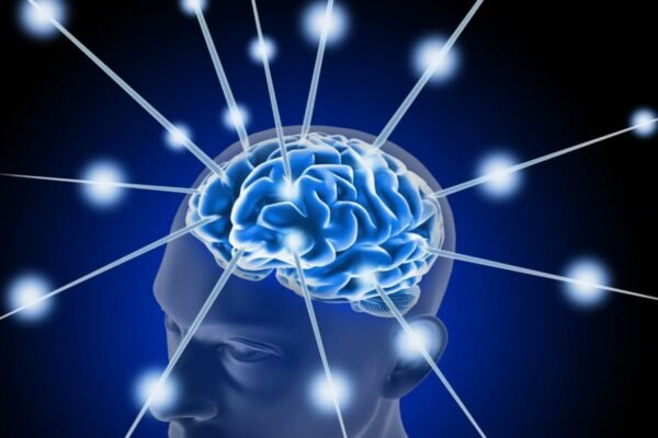 Булина: Визначення, характеристика і роль в українській культурі