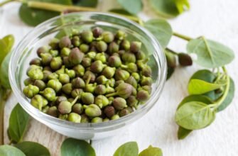 Онкомаркери: Що це таке та як вони допомагають у діагностиці раку