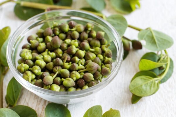 Онкомаркери: Що це таке та як вони допомагають у діагностиці раку Онкомаркери: Що це таке та як вони допомагають у діагностиці раку