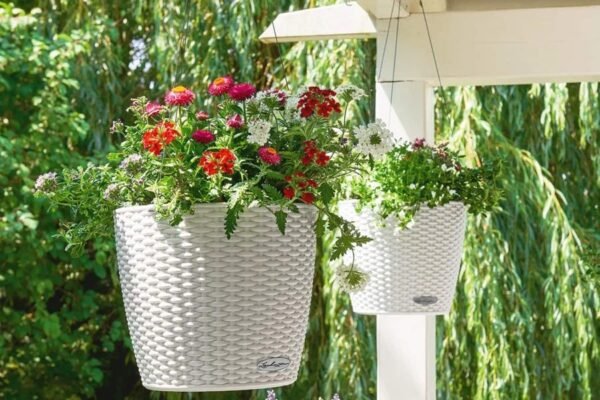 Натуральні соєві свічки: екологічний вибір для вашого дому