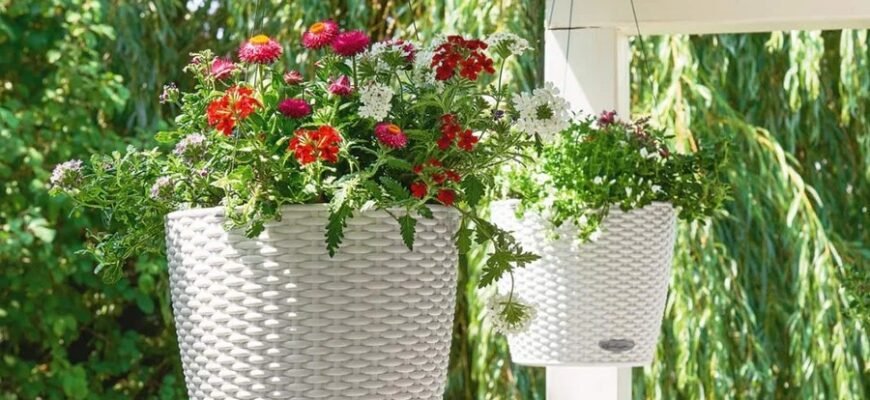 Натуральні соєві свічки: екологічний вибір для вашого дому